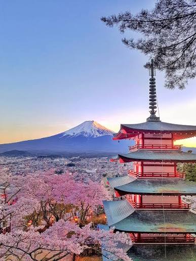japan-tour