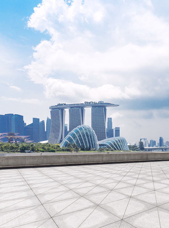 singapore-tour