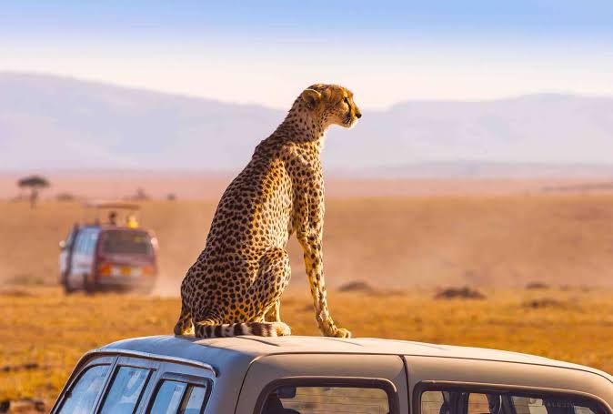 south-africa-tour