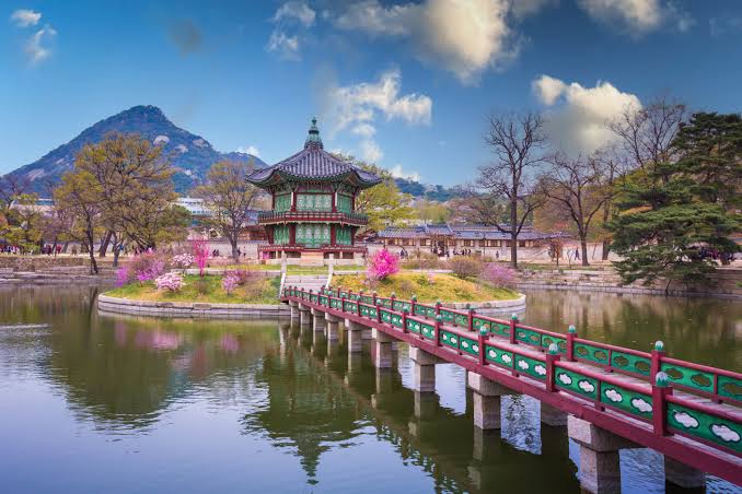 south-korea-tour